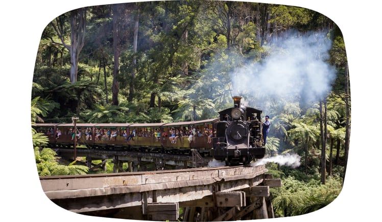 Blog - Puffing Billy