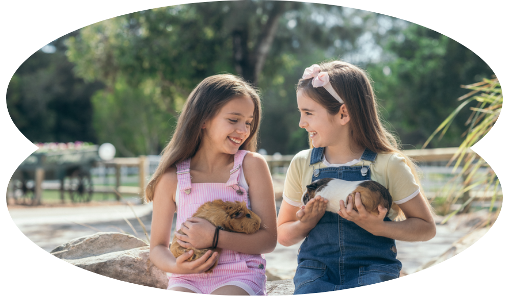 Blog Image - A Paradise Country