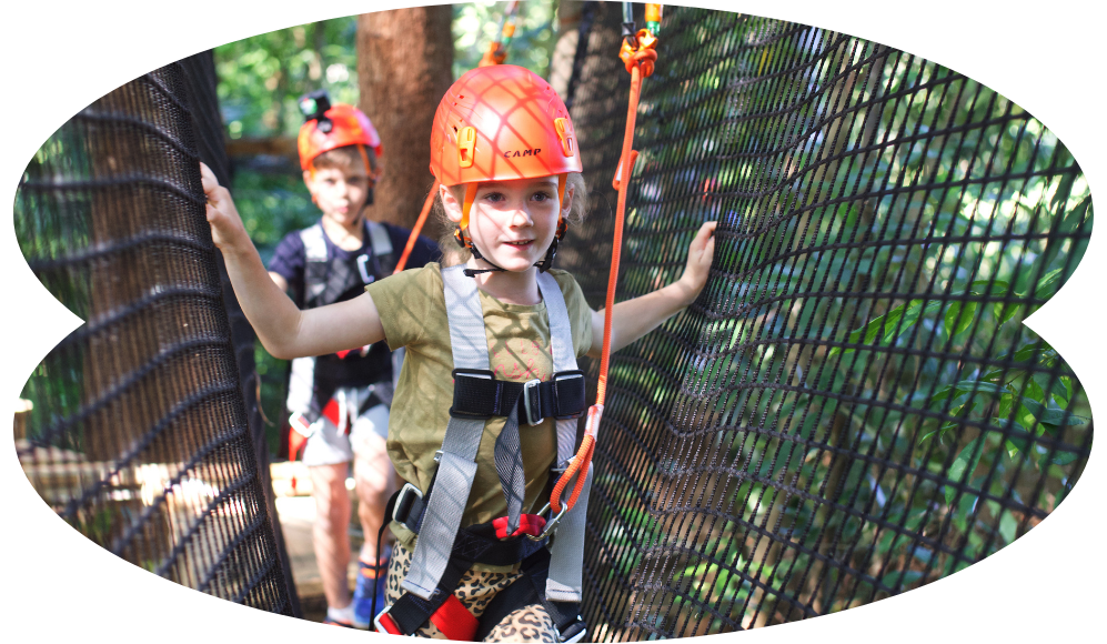 Blog Image - Treetop Challenge