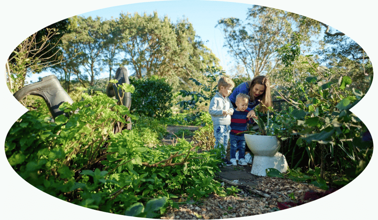 Blog Image - Wooloongong Botanical Gardens (Destination NSW)