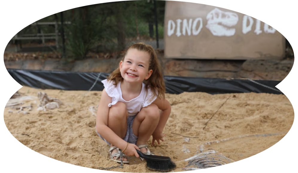 Blog Image ARP Jurassic Zoo Dino Dig