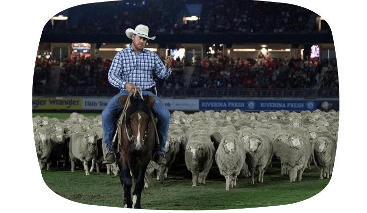 Blog Image Easter Show
