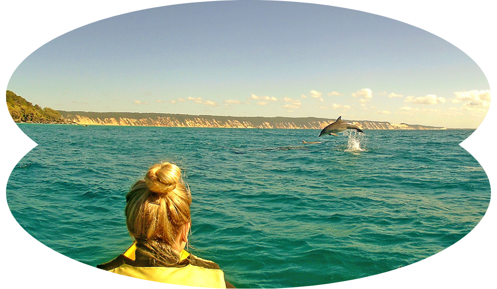 Blog Image Epic Ocean Dolphin Adventure