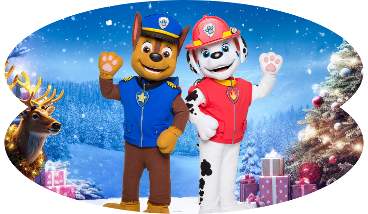 Blog Image Frosted Paw Patrol-1