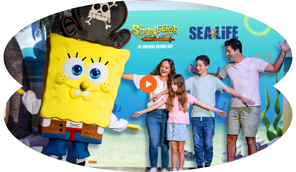 Blog Image Sea Life Sponge Bob