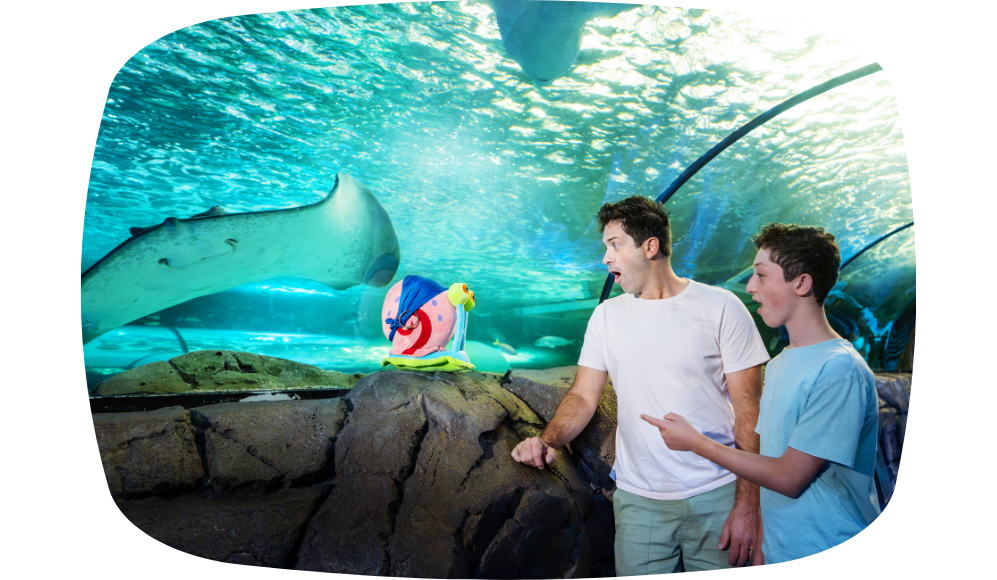 Blog Image Sea Life SpongeBob 3