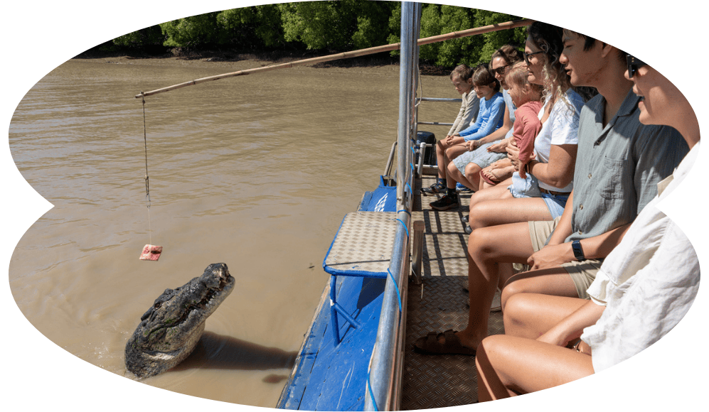 Blog Image Spectacular Jumping Crocodile