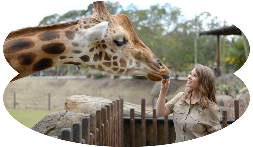 Blog Image Australia Zoo