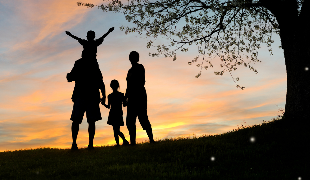 Press Pause: Wellness Experiences That Help Families Reconnect