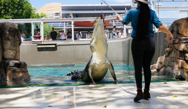 10 Things to do in Darwin with Kids