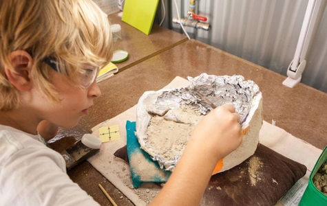 The Best Dinosaur Experiences for Kids in Australia