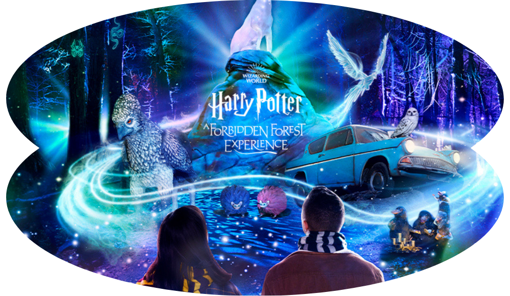 A Night of Magic: Exploring Harry Potter's Forbidden Forest