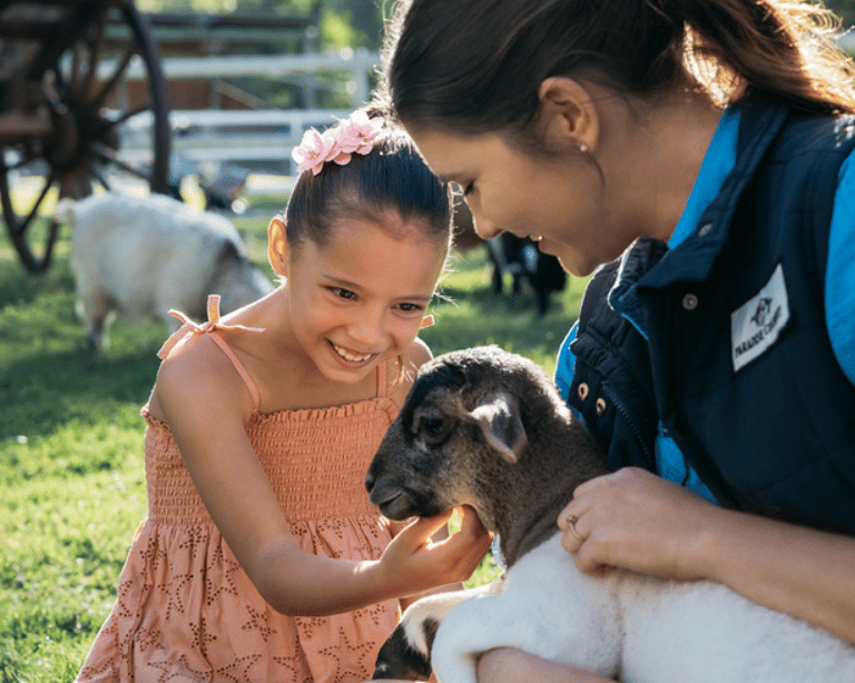 School Holiday Programs