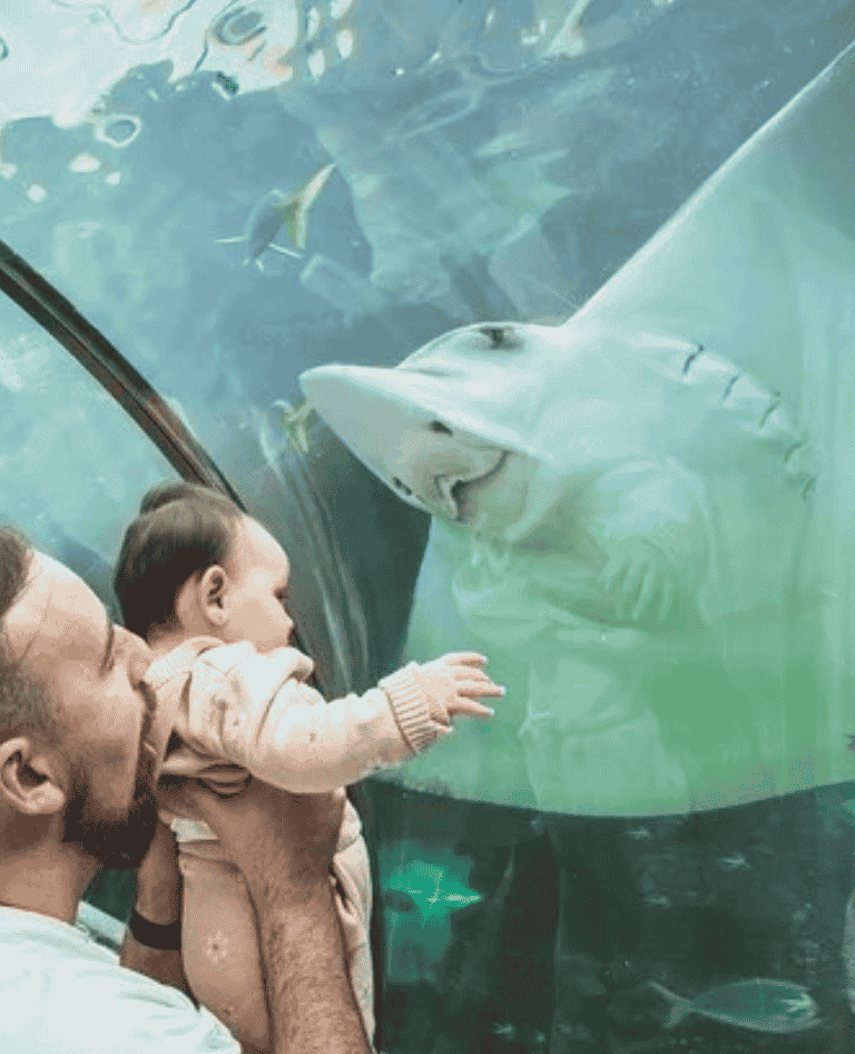 Sea Life Sydney